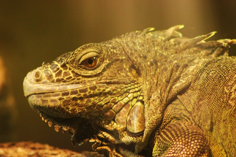 Photography, Photo retouching, Nature, Artistic