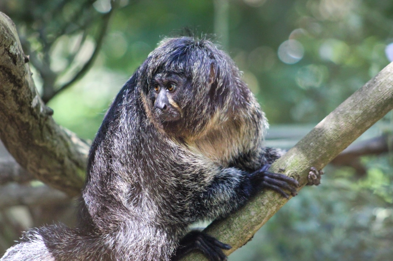 Photography, Photo retouching, Nature, Artistic