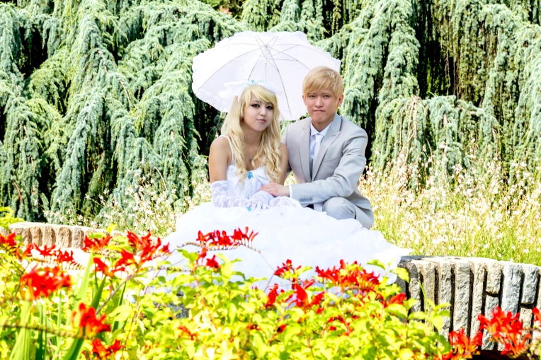 Photographie, Mariage, Traditionnel