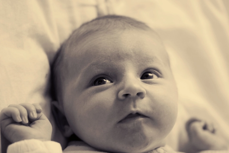 Photography, Photo retouching, Newborns, Artistic, Lifestyle