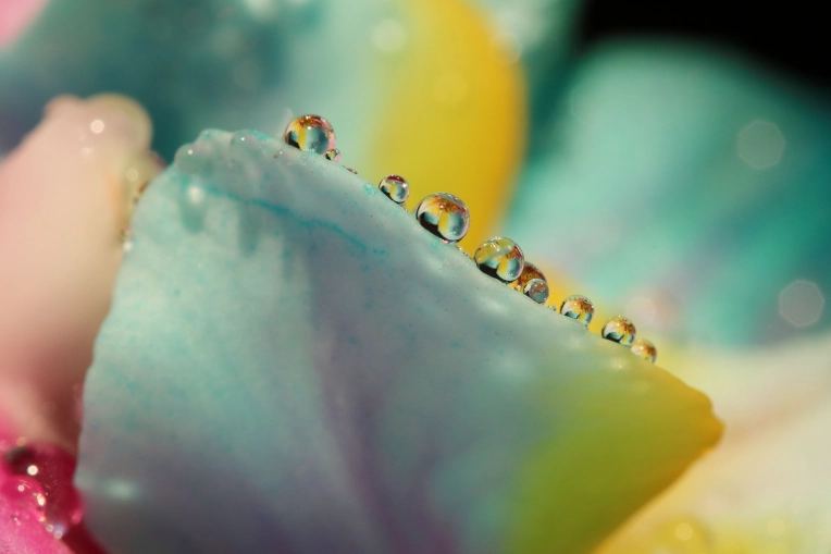 Photography, Nature, Artistic