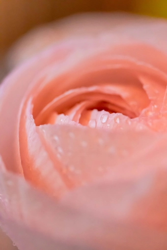 Photography, Nature, Artistic