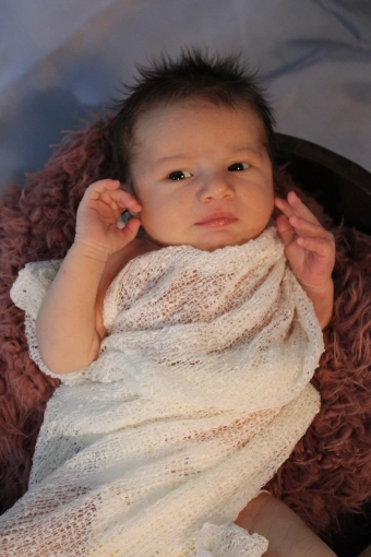 Photographie, Naissance, Traditionnel