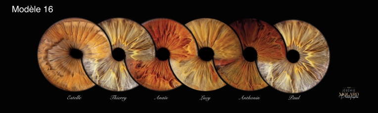 Photographie, Retouche photo, Iris, Artistique, Traditionnel