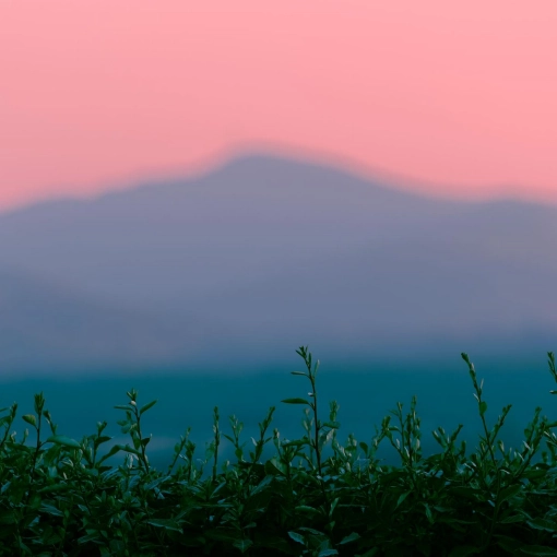 Photographie, Retouche photo, Nature, Artistique