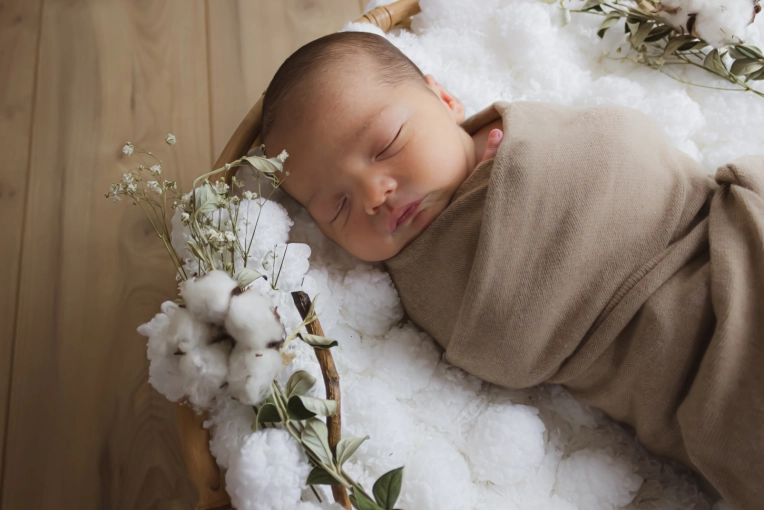 Photographie, Naissance, Artistique