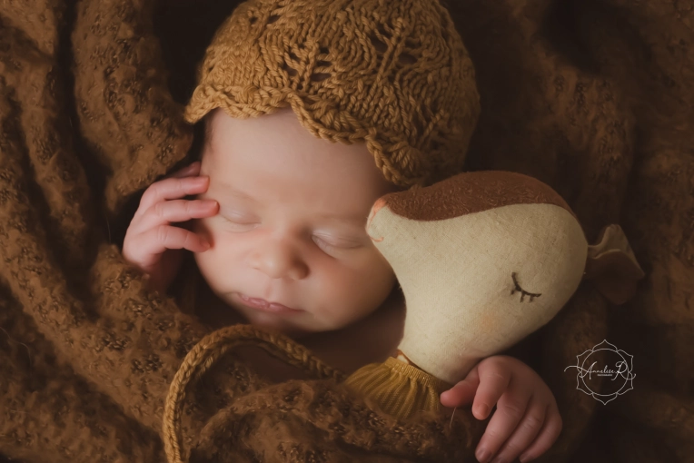 Photographie, Naissance, Artistique