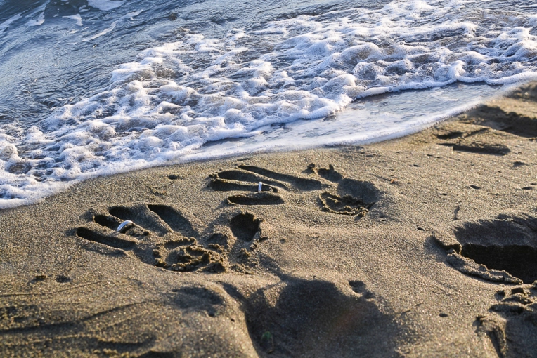 Photographie, Mariage