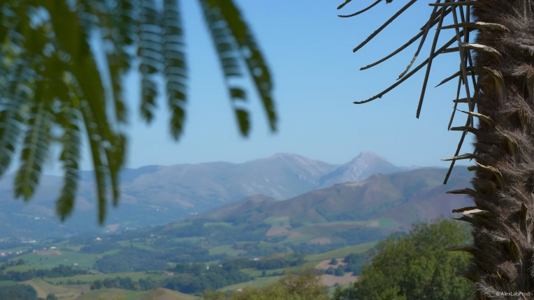 Photographie, Retouche photo, Vidéo et montage, Drone, Nature, Traditionnel, Lifestyle