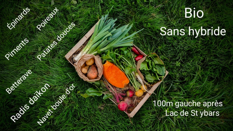 Photographie, Retouche photo, Vidéo et montage, Culinaire, Artistique, Lifestyle