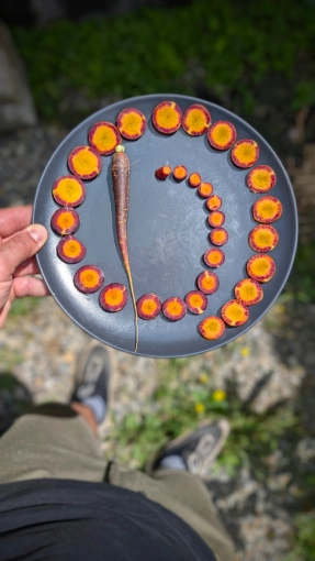 Photographie, Retouche photo, Vidéo et montage, Culinaire, Artistique, Traditionnel, Lifestyle