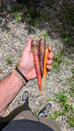 Photographie, Retouche photo, Vidéo et montage, Culinaire, Artistique, Lifestyle