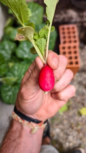 Photographie, Retouche photo, Vidéo et montage, Drone, Culinaire, Artistique, Traditionnel, Vintage, Lifestyle