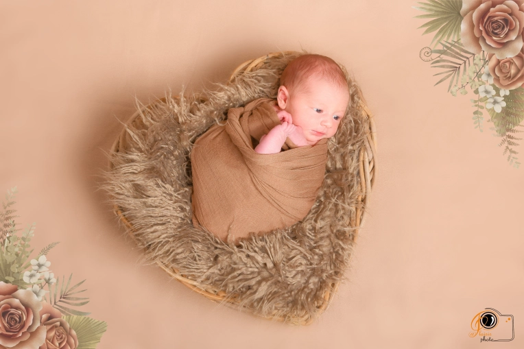 Photographie, Naissance, Traditionnel