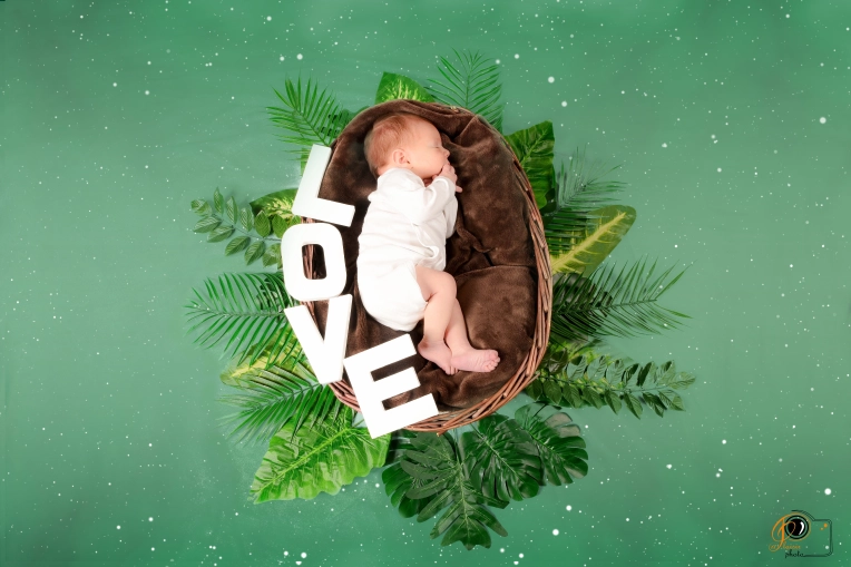 Photographie, Naissance, Traditionnel