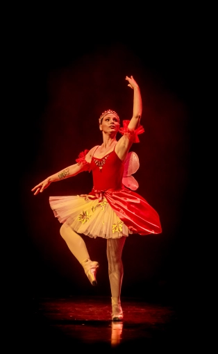 Photographie, Evènement, Concert/Spectacle, Artistique