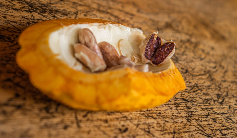 Photographie, Retouche photo, Industrielle, Lifestyle