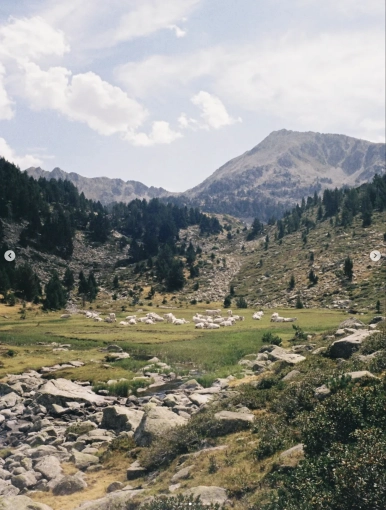 Photography, Nature, Artistic