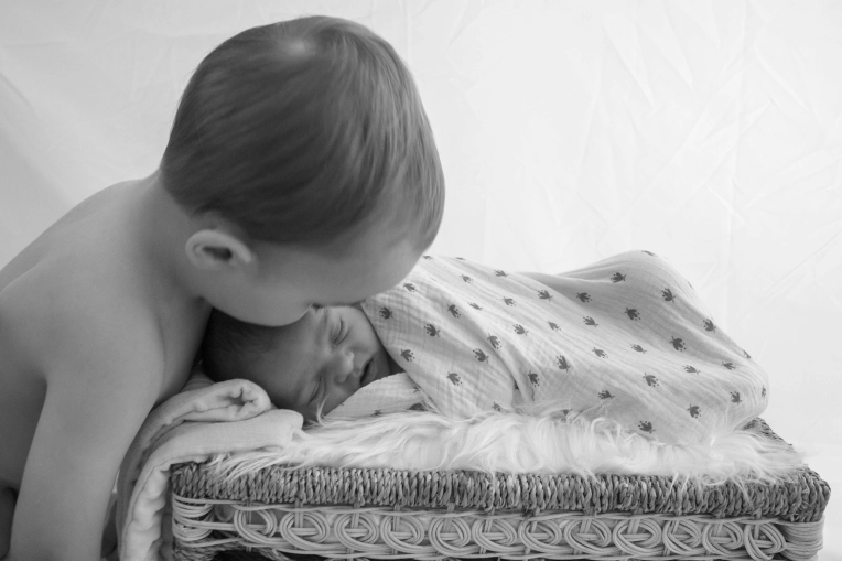 Photographie, Naissance, Traditionnel