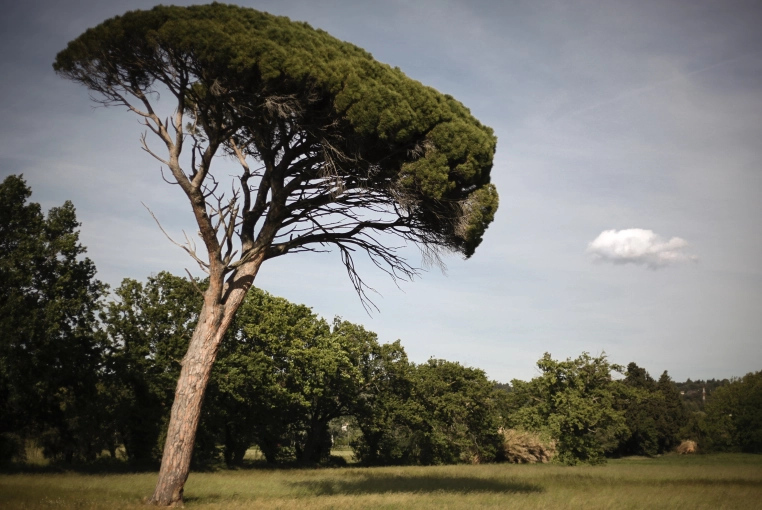 Photographie, Nature, Traditionnel