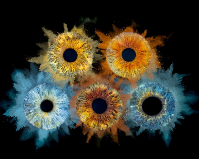 Photographie, Iris, Tirage / impression photo, Artistique