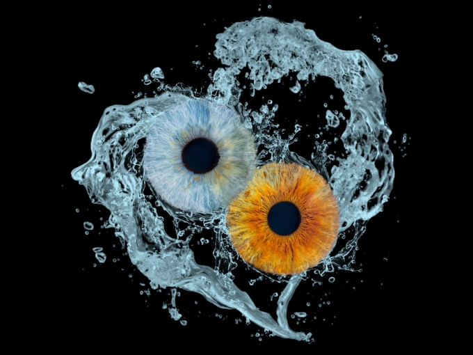 Photographie, Iris, Tirage / impression photo, Artistique