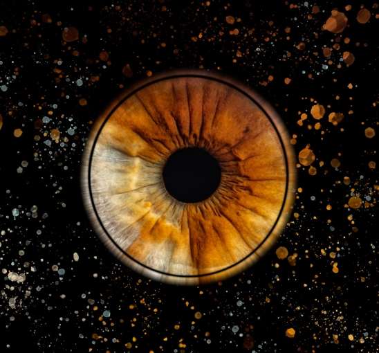 Photographie, Iris, Artistique