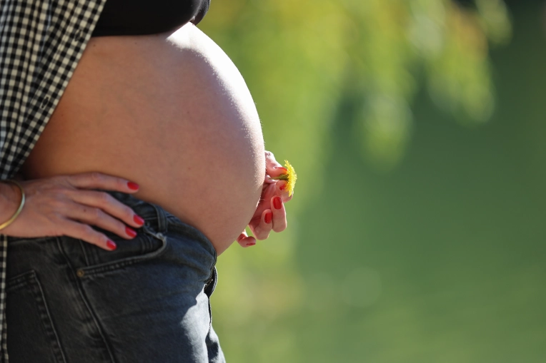 Photographie, Grossesse, Traditionnel, Vintage, Lifestyle