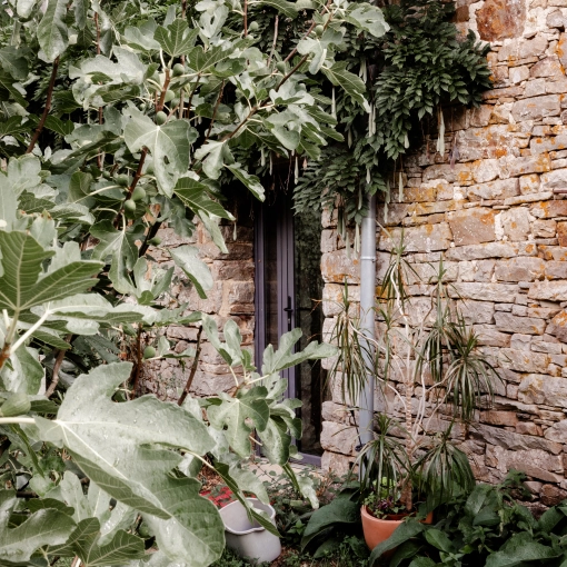 Photographie, Immobilier & Architecture, Bâtiment, Architecture d'intérieur / Décoration, Airbnb, Artistique, Traditionnel