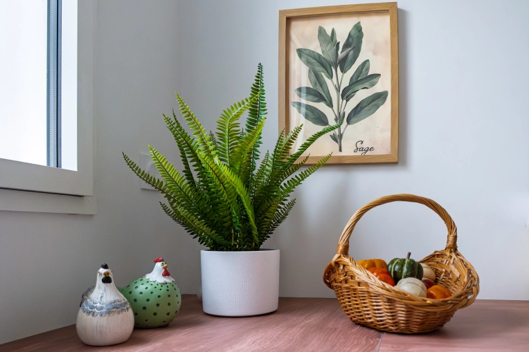 Photography, Interior Design, Airbnb, Lifestyle