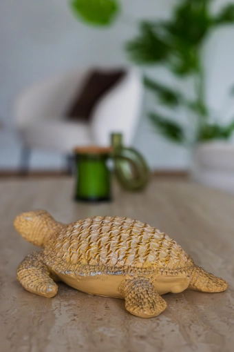 Photography, Interior Design, Airbnb, Lifestyle