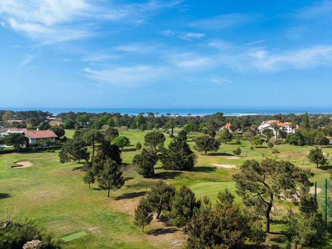Photography, Drone Photography, Real estate & Architectural, Traditional