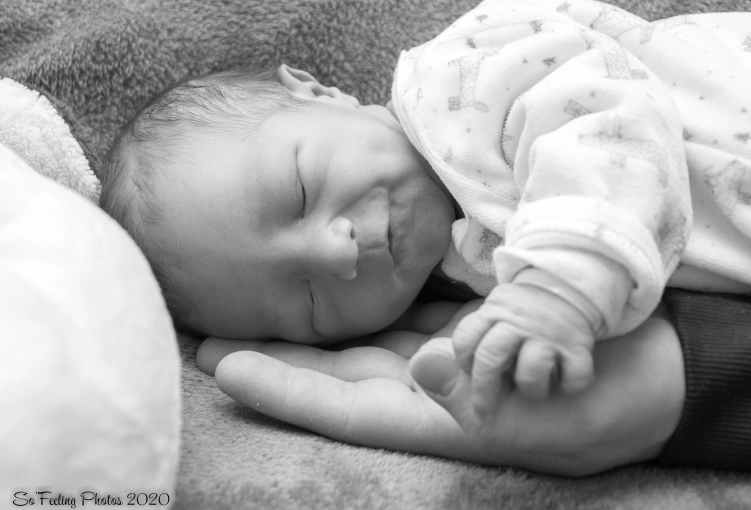 Photography, Newborns, Traditional, Lifestyle