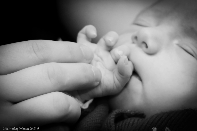 Photography, Newborns, Traditional