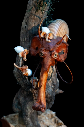 Photography, Photo retouching, Product Photos, Artistic