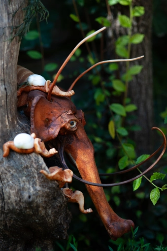 Photography, Product Photos, Artistic