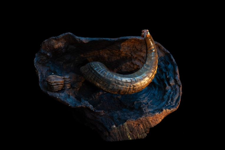 Photography, Photo retouching, Product Photos, Artistic