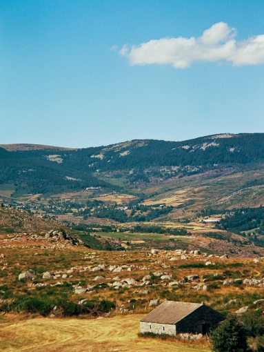 Photography, Nature, Film