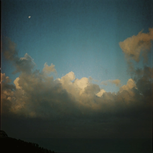 Photographie, Nature, Artistique, Vintage, Argentique