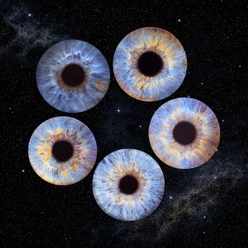 Iris