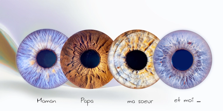 Iris
