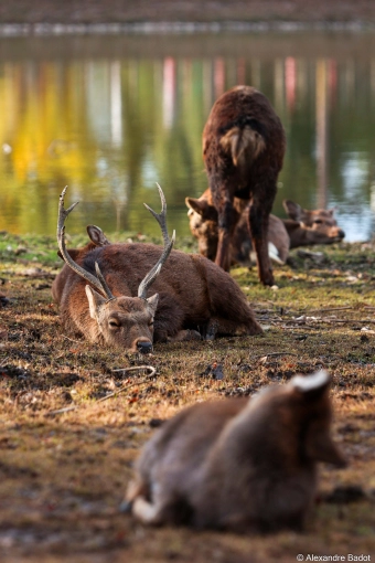 Photography, Photo retouching, Classes, Photography Classes, Nature, Artistic, Traditional