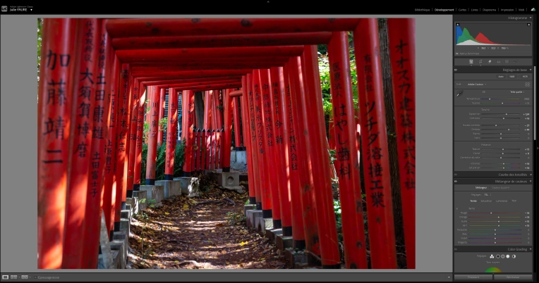 Classes, Photography Classes, Nature, Artistic, Traditional