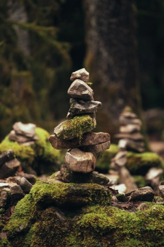 Photographie, Nature, Artistique