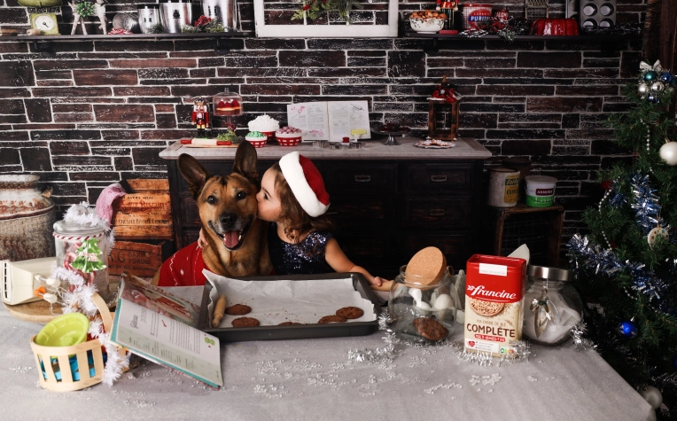 Photography, Photo retouching, Pets