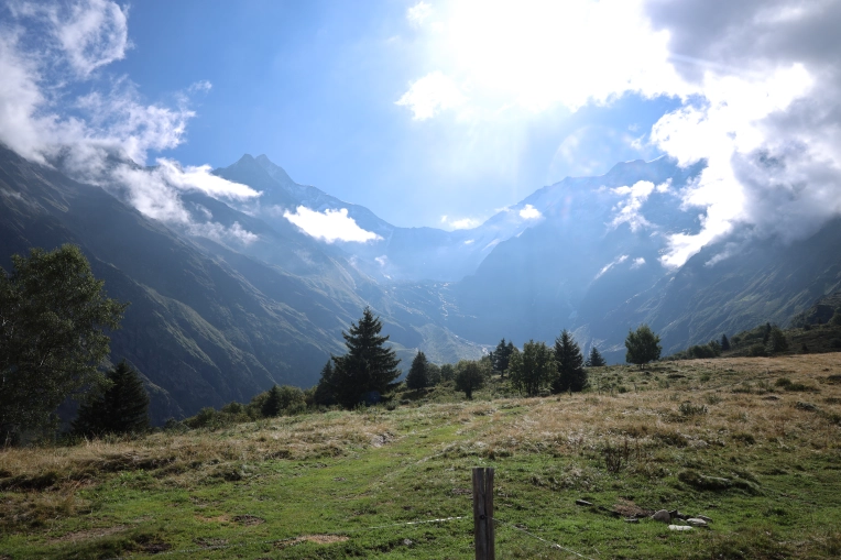 Nature