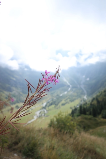 Nature