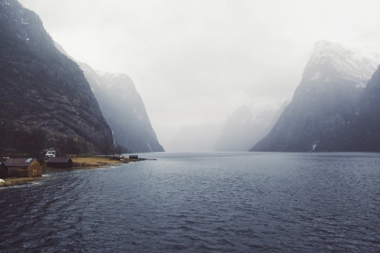 Photography, Nature, Artistic