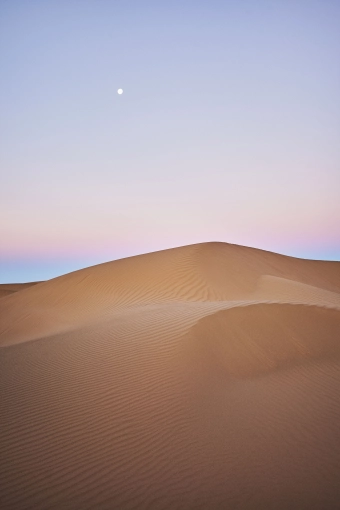 Photography, Nature, Artistic, Lifestyle