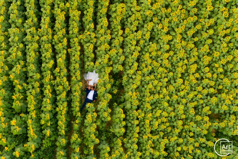 Photography, Drone Photography, Couples / Engagement, Artistic, Lifestyle